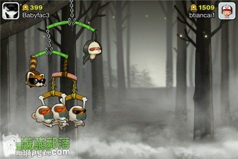 image(2).jpg 猴子也瘋狂