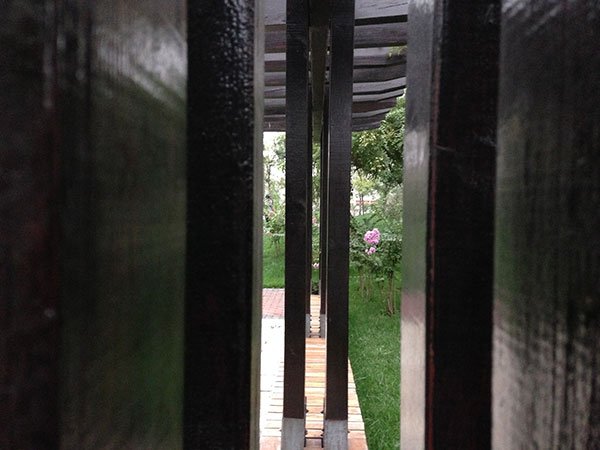 六問蘋果iPhone 5c:改變在哪?該不該買?