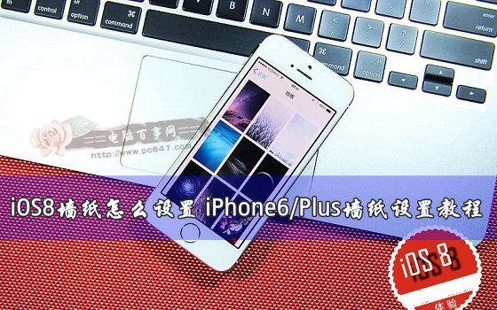 iPhone6/Plus的iOS8系統要怎麼設置牆紙？ &nbsp