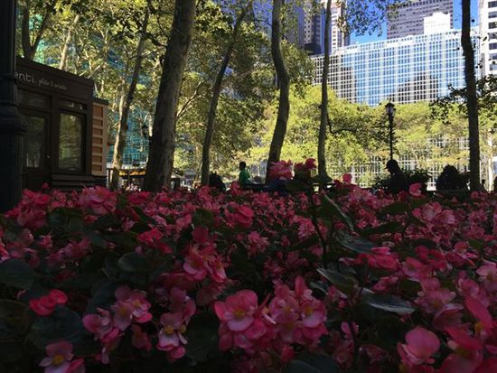 iPhone 6 Plus樣張出爐:遠不如售價驚艷