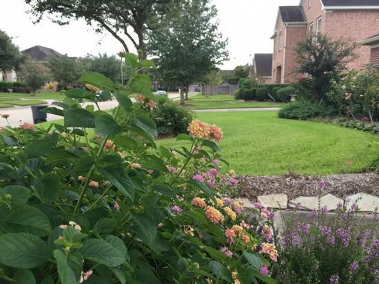 iPhone 6 Plus拍照對比單反:差距懸殊