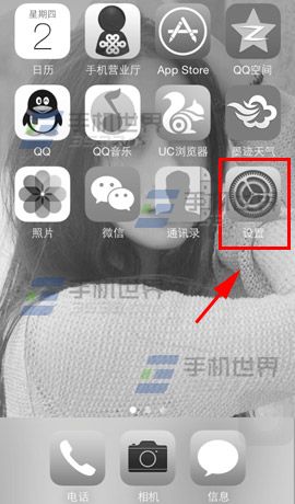 iphone5s黑白屏設置方法 &nbsp