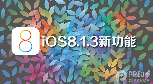 iOS8.1.3beta版新功能詳解:支持2/3/4G自行切換  