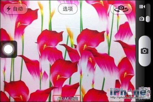 iPhone手機背景虛化如何拍？ &nbsp