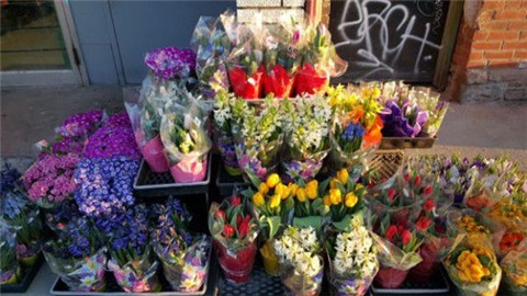 用圖說話：iPhone6 Plus和Galaxy S6拍照哪家強？ 相機鏡頭對比   &nbsp