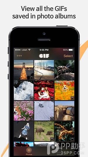 iPhone無法看動圖怎麼辦 &nbsp