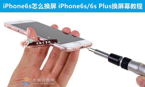 iPhone6s怎麼換屏   &nbsp