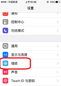 iPhone SE怎麼設置手機壁紙 iPhone SE設置壁紙教程
