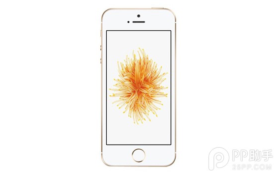 iPhoneSE設置鎖屏不預覽信息內容 &nbsp