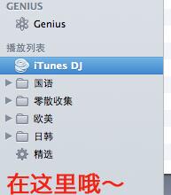 iPhone怎麼用itunes下載音樂?  