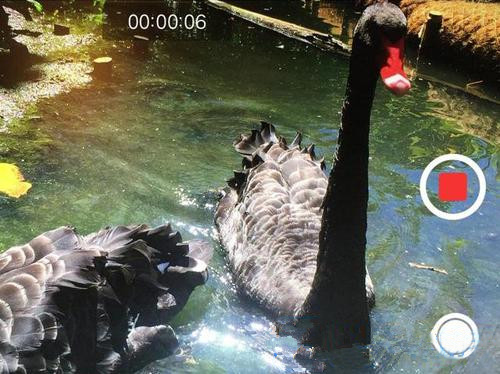 iPhone的這些隱藏功能,你都用過嗎