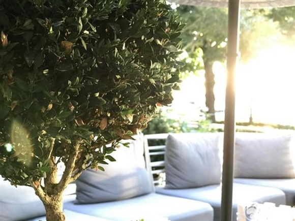 低光下蘋果iPhone7 Plus長焦鏡頭為何無法工作?