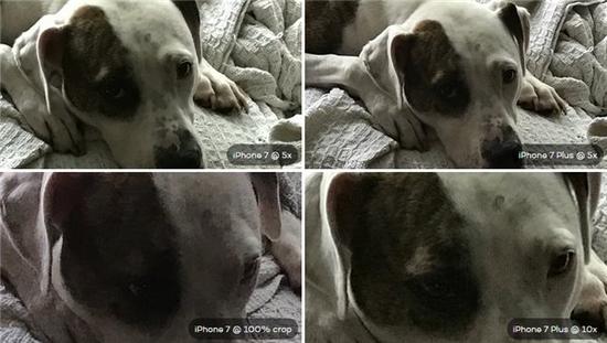 詳細測試:蘋果iPhone7/7 Plus相機區別有多大