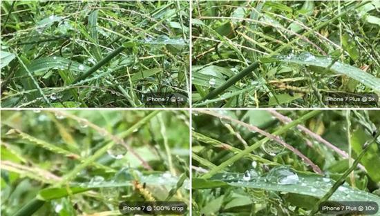 詳細測試:蘋果iPhone7/7 Plus相機區別有多大