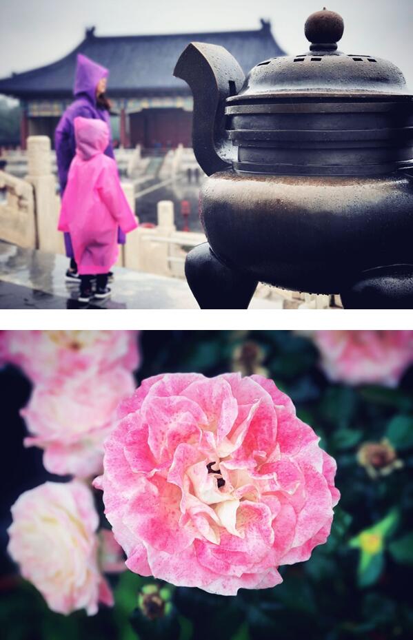 好吧,一起來體驗一下iPhone 7 Plus人像模式