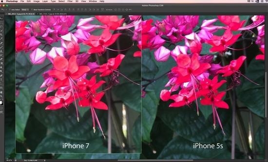 iPhone7 Plus拍攝模糊出水彩畫問題怎麼辦?  