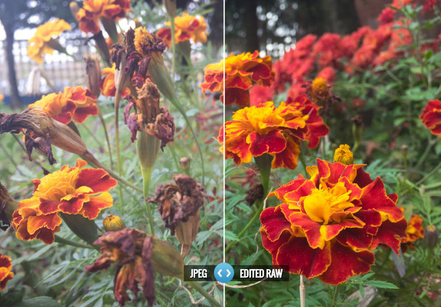 iPhone7使用RAW拍照技巧 &nbsp