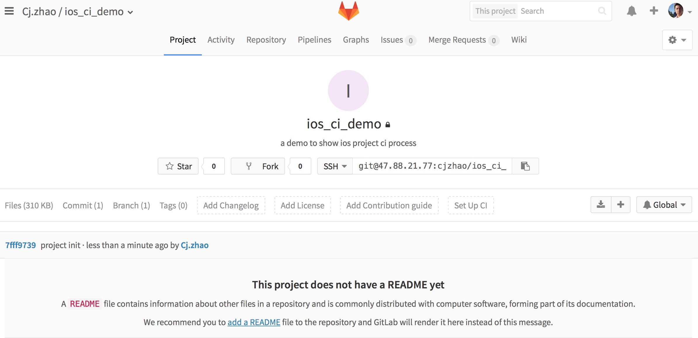 \ gitlab_project_home_first