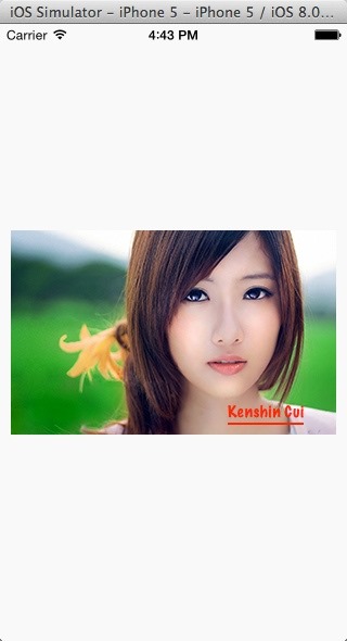 ImageContextEffect ImageContextEffect