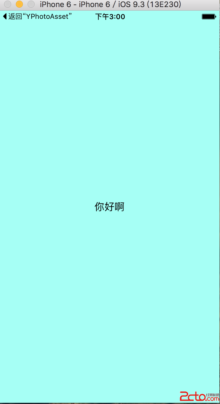 中文