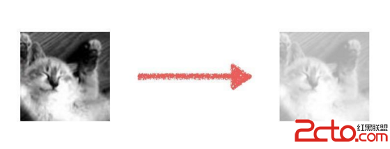 1455499400271552.png blob.png