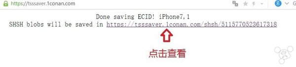 干貨教程:教你如何備份蘋果iPhone SHSH2文件