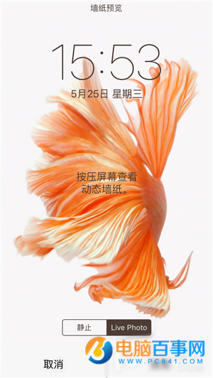 iPhone6s動態壁紙不動怎麼辦 iPhone6s動態壁紙設置教程