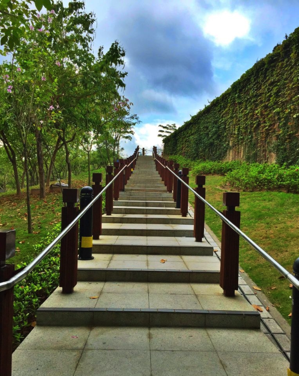 iPhone怎麼拍出好照片？iPhone攝影技巧