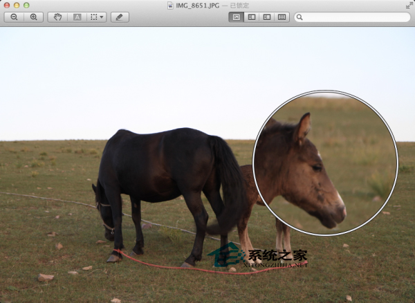 Mac如何開啟預覽應用的放大鏡功能