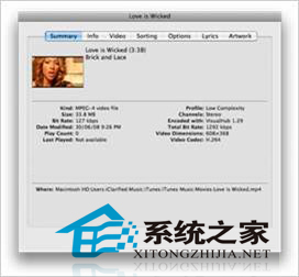 MAC系統怎麼更改iTunes中的視頻類型