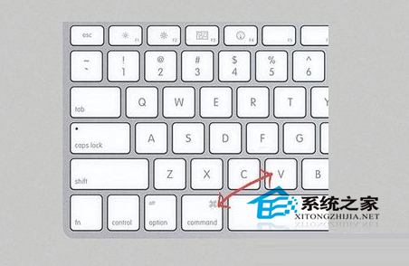 蘋果電腦復制粘貼的快捷鍵有哪些?