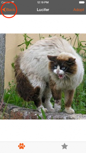 1444356001126847.png 【投稿】UIAppearance教程:入門