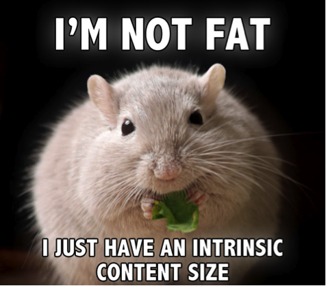 iOS 7中自動布局教程(一)