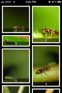 iOS瀑布流視圖控件quilt的用法