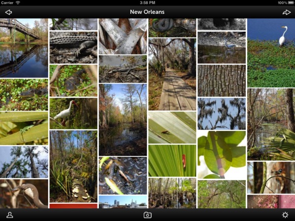 iOS瀑布流視圖控件quilt的用法