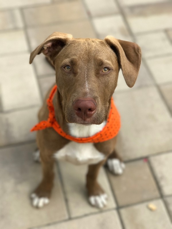 教你如何專業地使用iPhone 7 Plus的人像模式拍攝 教你如何專業地使用iPhone 7 Plus的人像模式拍攝