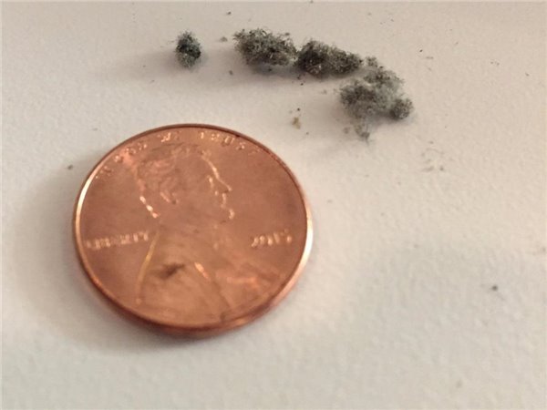 自己動手輕松修復蘋果iPhone 13個小毛病 自己動手輕松修復蘋果iPhone 13個小毛病