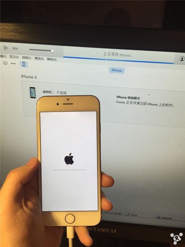 報廢的蘋果iPhone去了哪?
