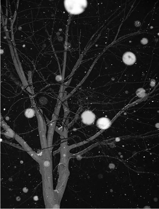 學會這8招:iPhone能拍出單反效果 學會這8招:iPhone能拍出單反效果