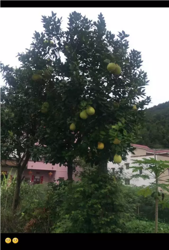 學會這8招:iPhone能拍出單反效果 學會這8招:iPhone能拍出單反效果