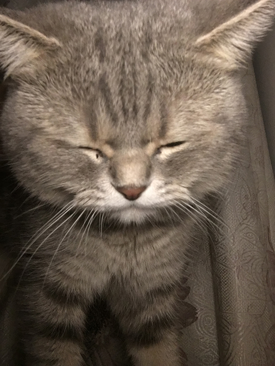 iPhone 6s/6s Plus有沒有自拍閃光燈?怎麼用 iPhone 6s/6s Plus有沒有自拍閃光燈?怎麼用