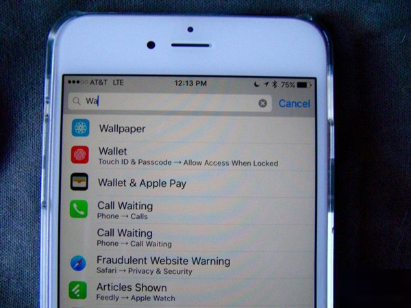 你會用iOS9設置中的搜索框嗎 你會用iOS9設置中的搜索框嗎