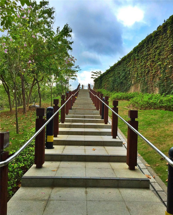 如何用iPhone拍出漂亮的照片? 如何用iPhone拍出漂亮的照片?