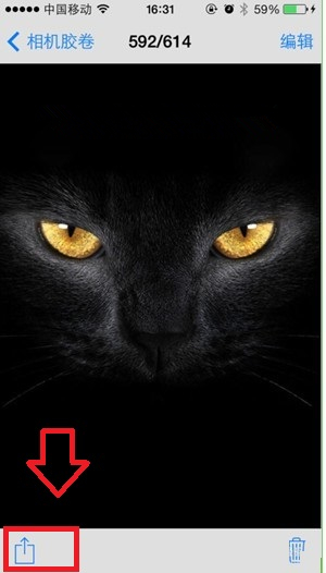 iPhone怎麼用藍牙傳文件? iPhone怎麼用藍牙傳文件?