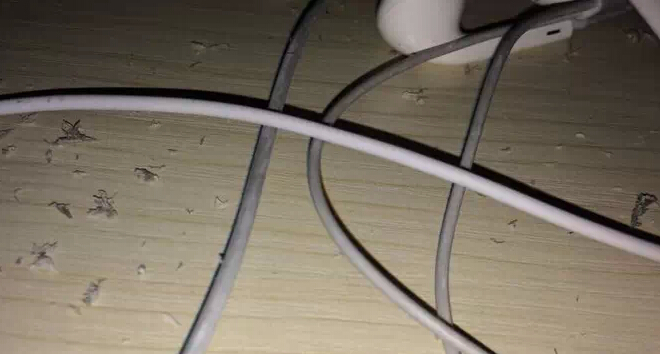 iPhone耳機髒了怎麼辦?耳機清潔方法 iPhone耳機髒了怎麼辦?耳機清潔方法