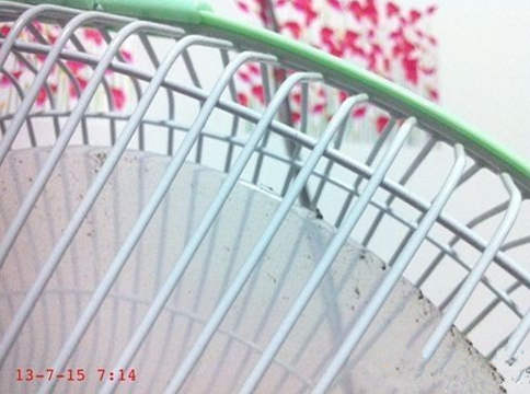 iPhone手機拍照背景如何虛化? iPhone手機拍照背景如何虛化?