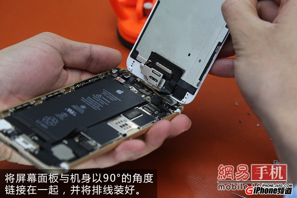 iPhone6碎屏怎麼辦?手把手教你給iPhone6換屏幕
