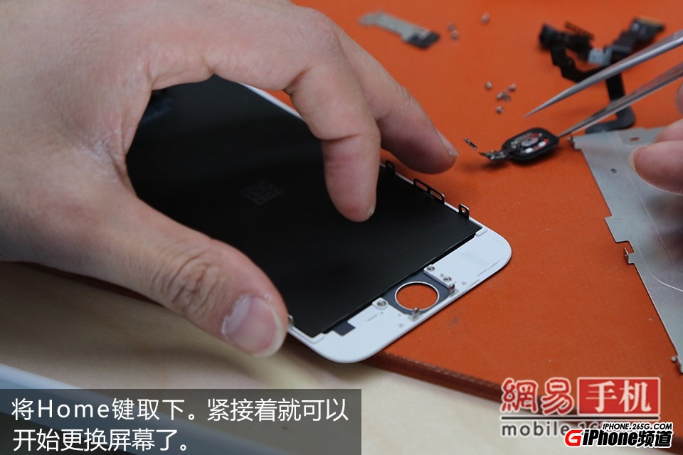 iPhone6碎屏怎麼辦?手把手教你給iPhone6換屏幕