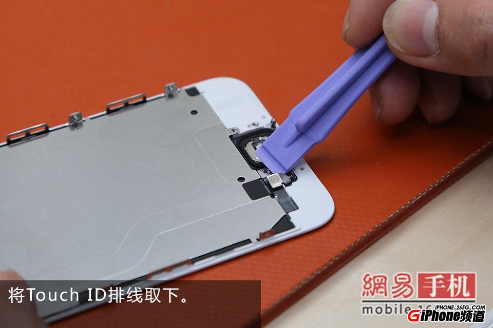 iPhone6碎屏怎麼辦?手把手教你給iPhone6換屏幕
