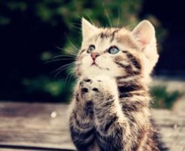 1484220399591211.jpg 1.jpg